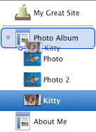 Arranging Photos in Album.png